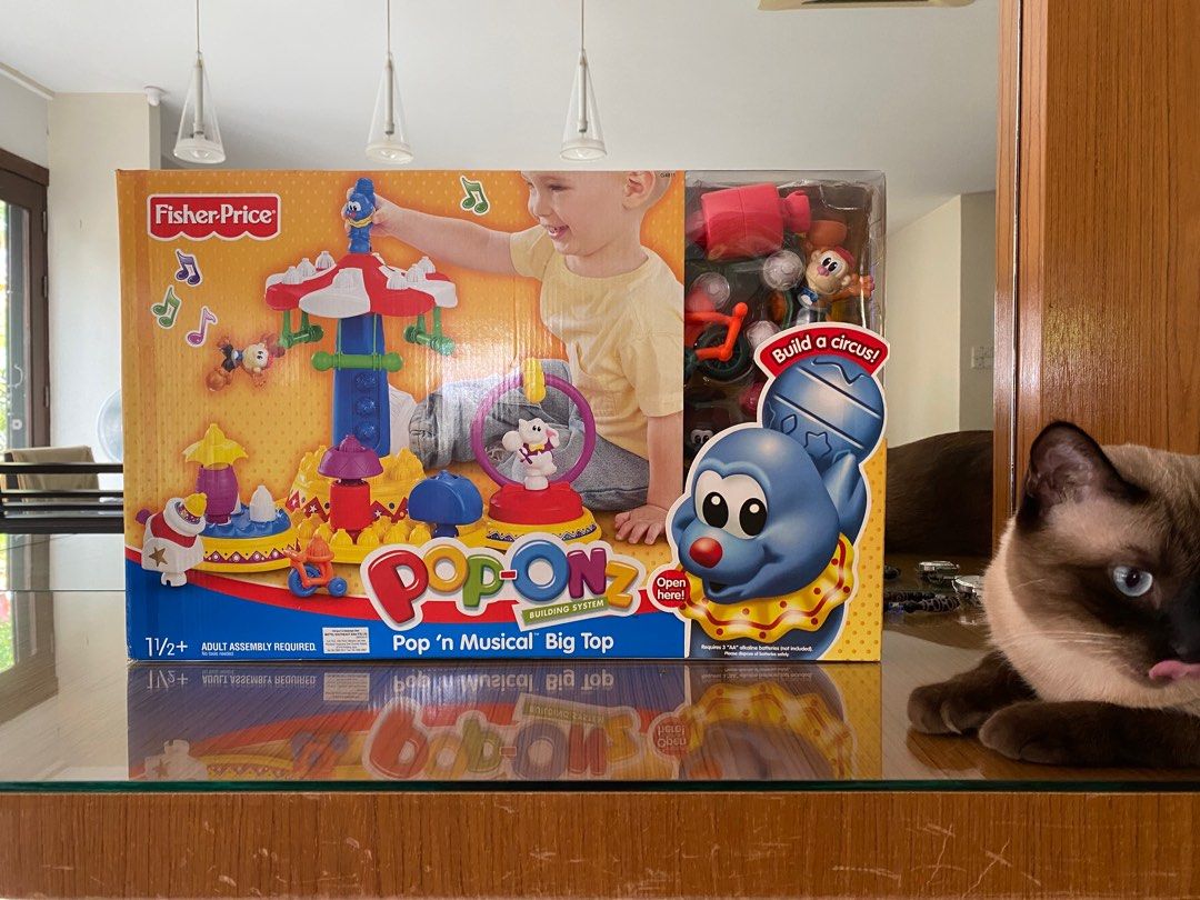 Fisher price cat discount