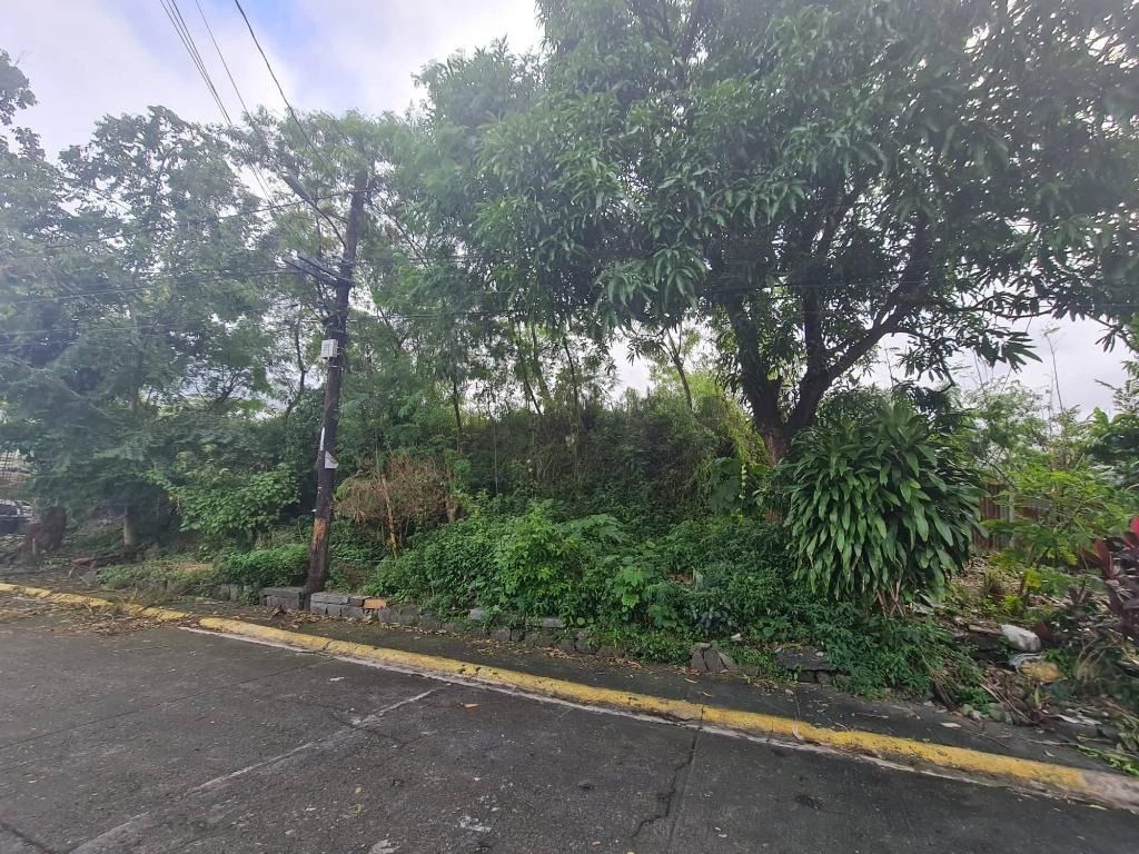 For Sale Lot For Sale inside Tres Hermanas Village Phase 1 Cupang