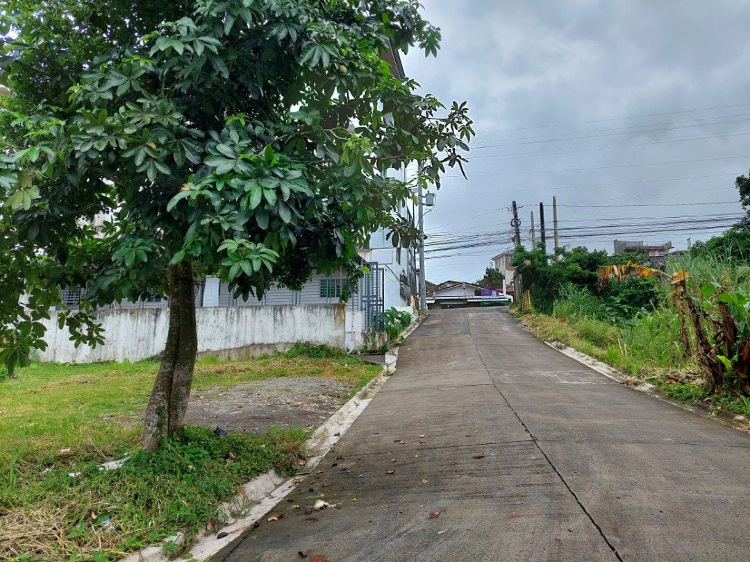 Lot for SALE along Aguinaldo Highway Lalaan Silang, Property, For Sale