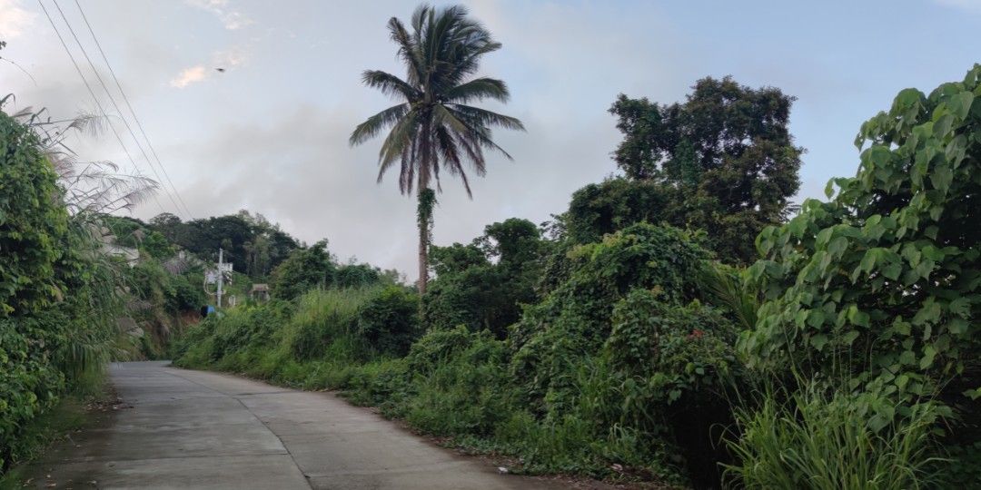 Overlooking Lot For Sale‼️ (Category: Lot) located in Taguig. Submitted by Mechie.punzalan (Listing ID 1249614501, Image 3). Description: overlooking Taal lake/volcano 🎈lot area- 1.3 hectares 🎈price-5k per m2 🎈location: Brgy Niyugan,Laurel, Batangas 🎈along cemented barangay road 🎈frontage: 100&120 meters 🎈only 1 km.away from Tagaytay-Nasugbu highway 🎈titled property 🎈 ideal for events place and vacation house For inquiry:pls.call/text: Me