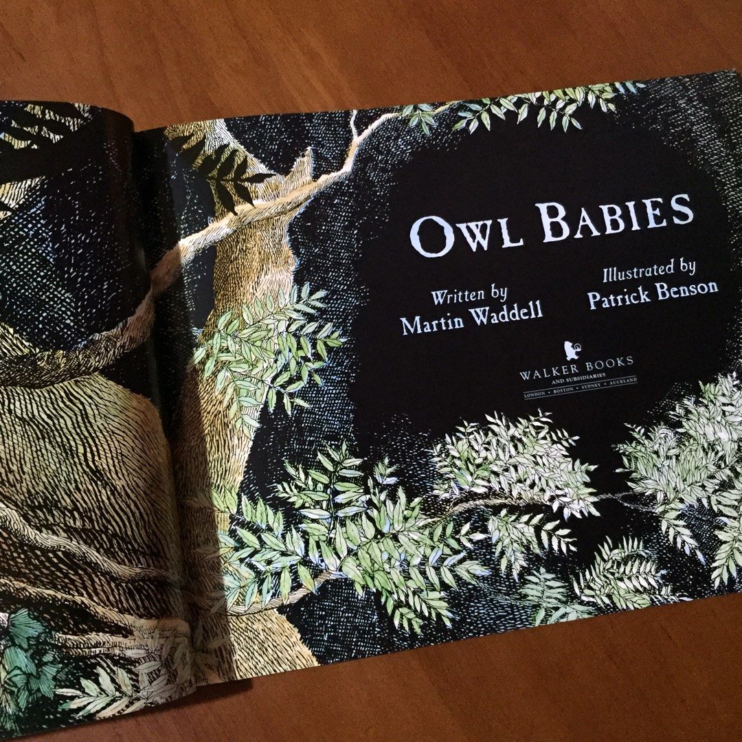Owl Babies by Martin Waddell and Patrick Benson (Story Book and DVD) on ...