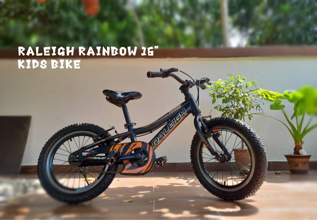 16 rainbow bike discount