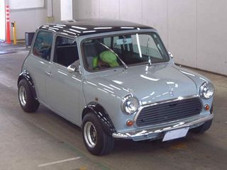 Rover Mini 99X Manual