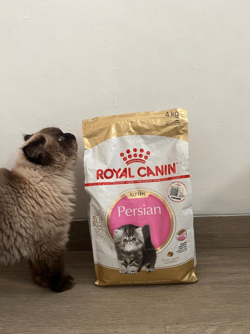 Royal canin shop persian kitten 4kg