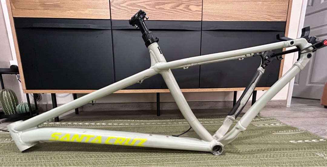 Santa cruz chameleon on sale 2021