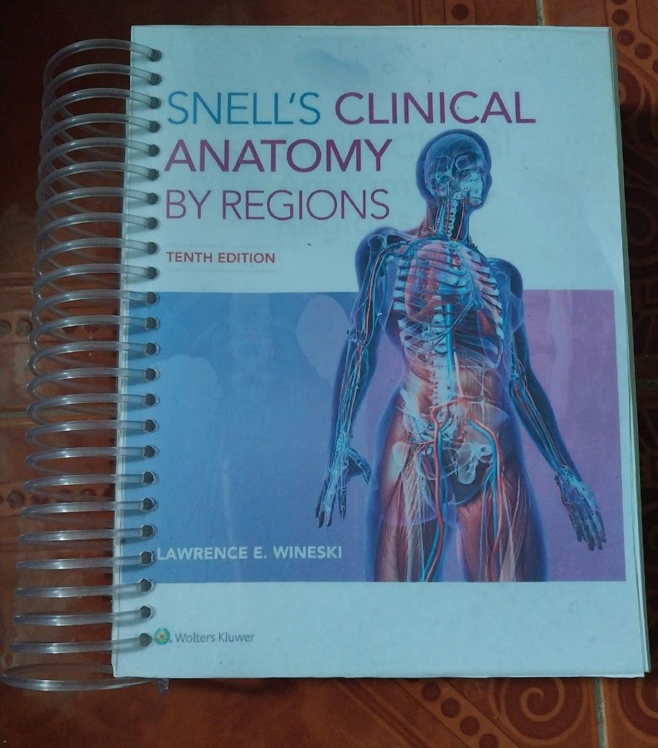 Snell's Clinical Anatomy by Regions 10th Edition, Hobbies & Toys, Books ...