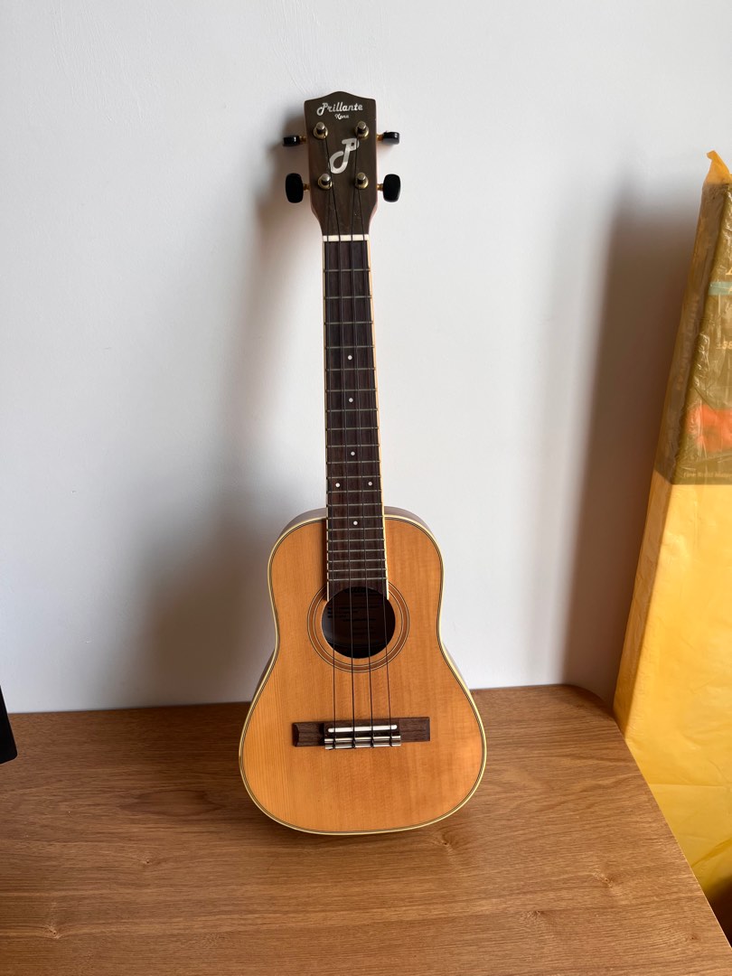 Ukulele with case, Hobbies & Toys, Music & Media, Musical Instruments