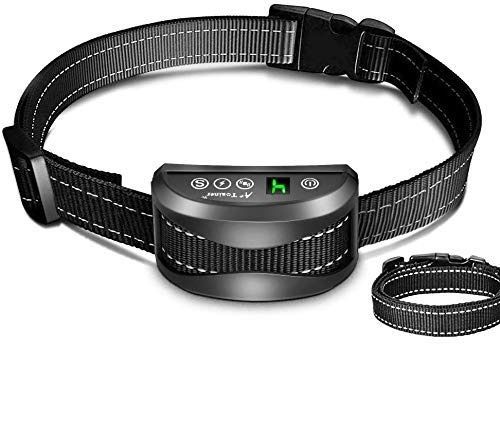 Electric dog collar batteries shop