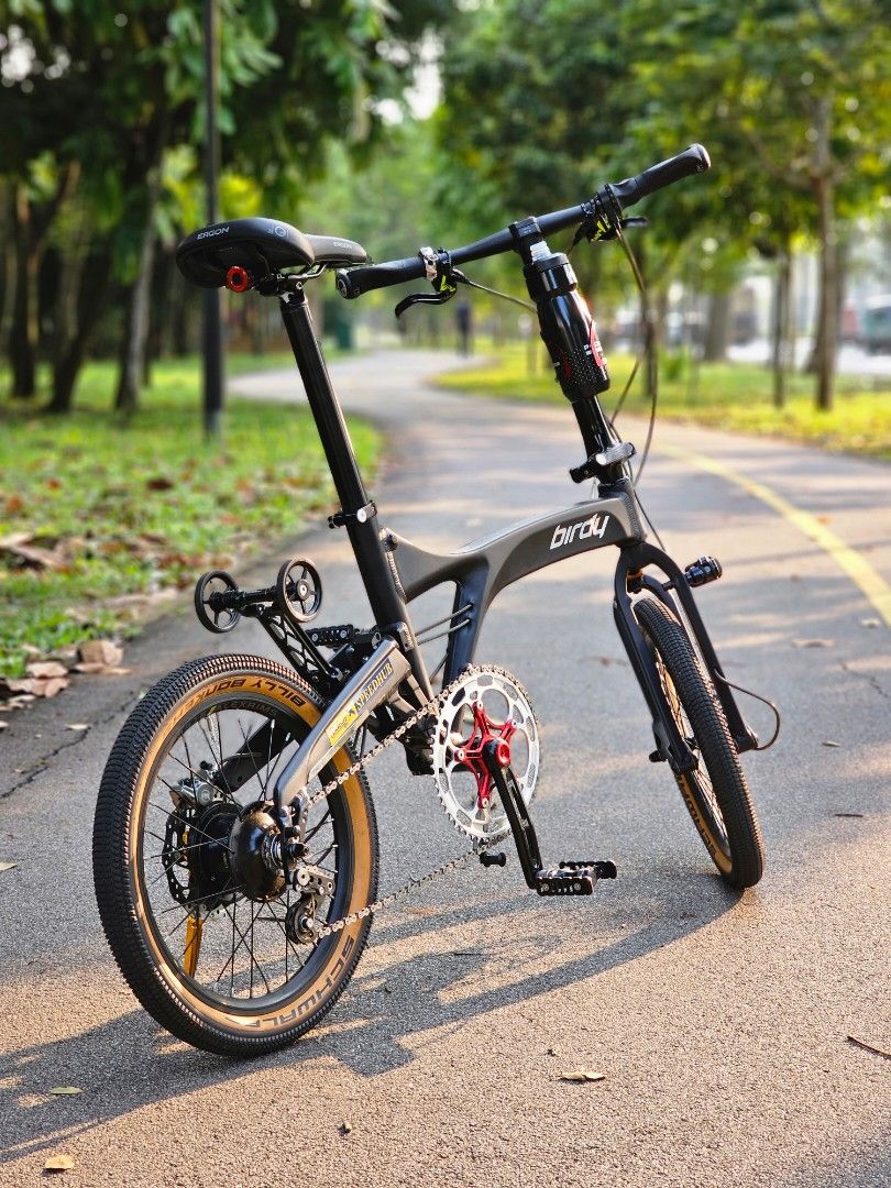 Birdy rohloff deals price