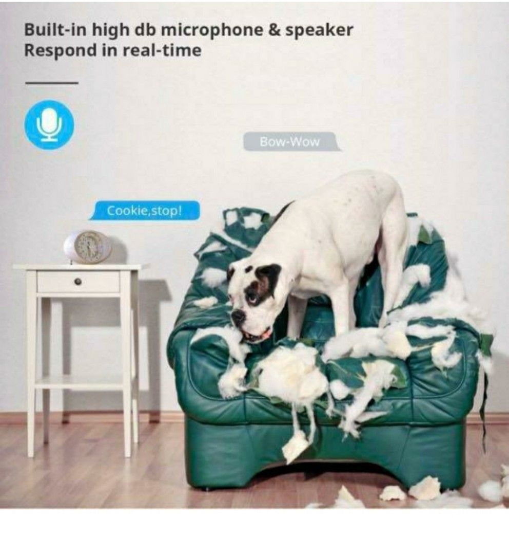 View of Invisible Security: 7 Powerful Ways to Discreetly Integrate Cameras ...