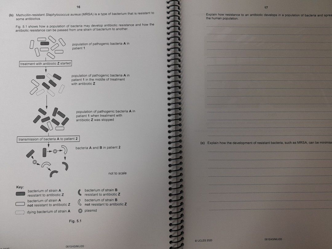 igcse-biology-past-papers-2020-and-2019-hobbies-toys-books