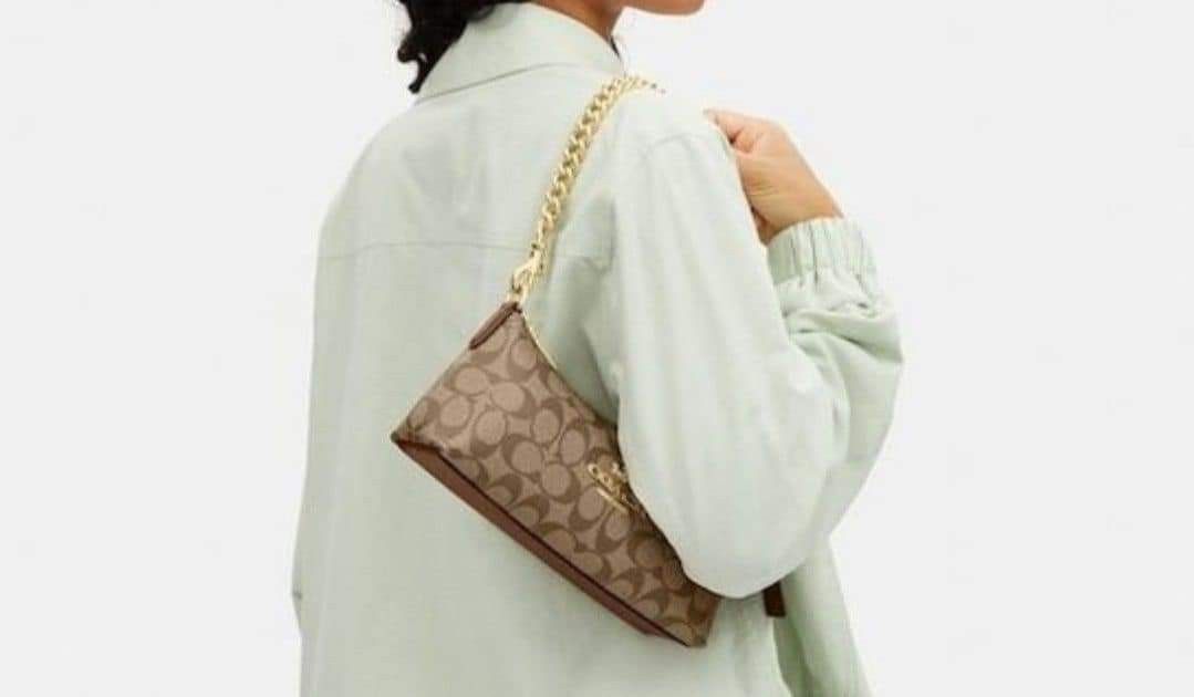 Shop coach teri shoulder bag for Sale on Shopee Philippines