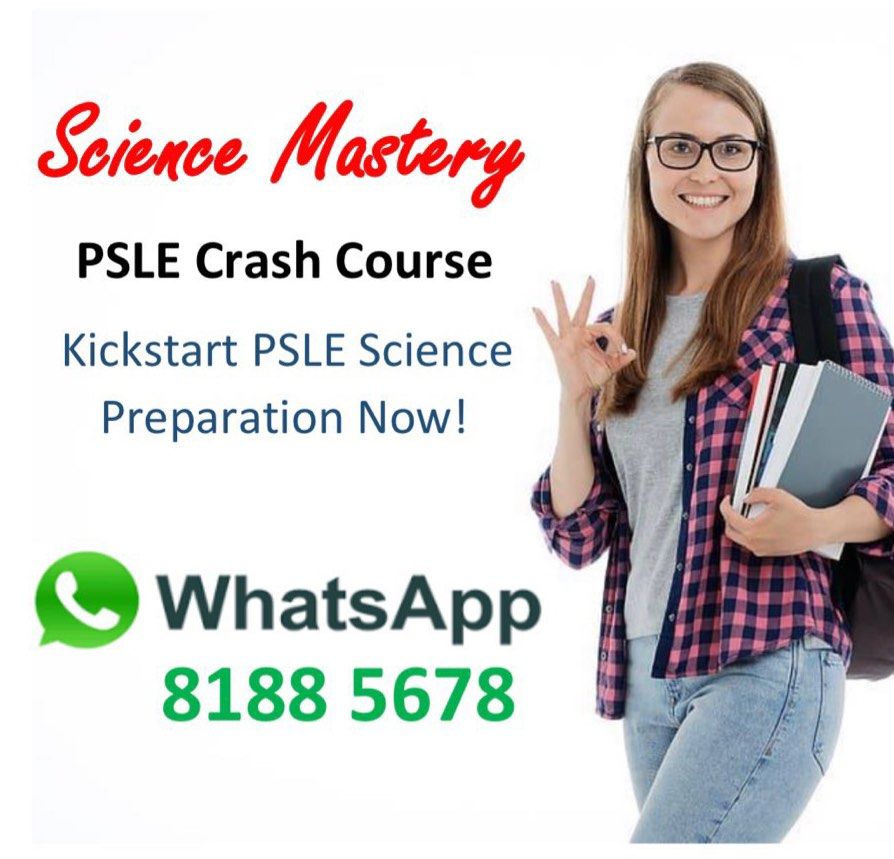 PSLE Tuition Crash Course Math and Science | P3 P4 P5 P6 Sec 1 Sec 2| Full time Small Class ...