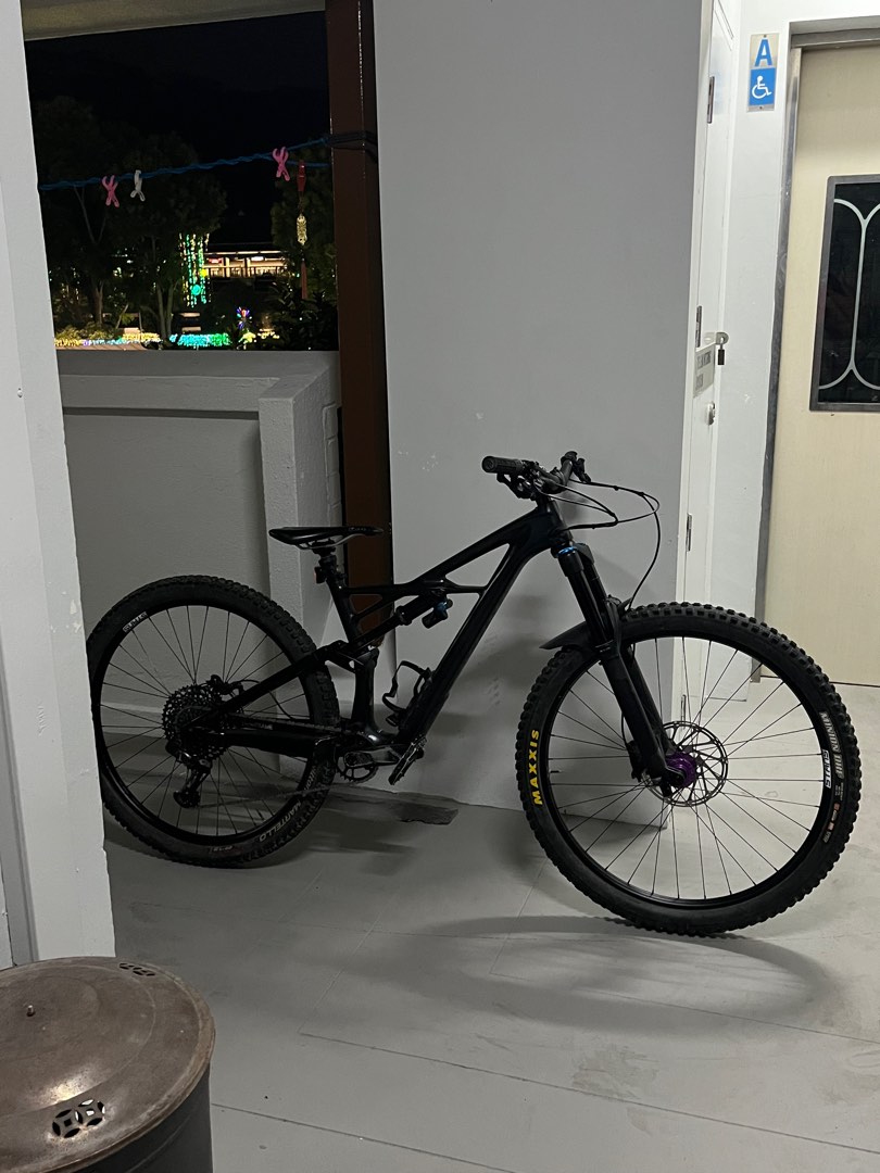 Specialized enduro 2025 elite 29 2019
