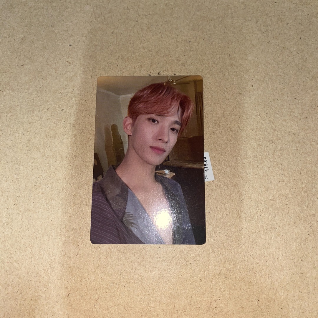 SVT FML Green Back RPC DK, Hobbies & Toys, Memorabilia & Collectibles ...