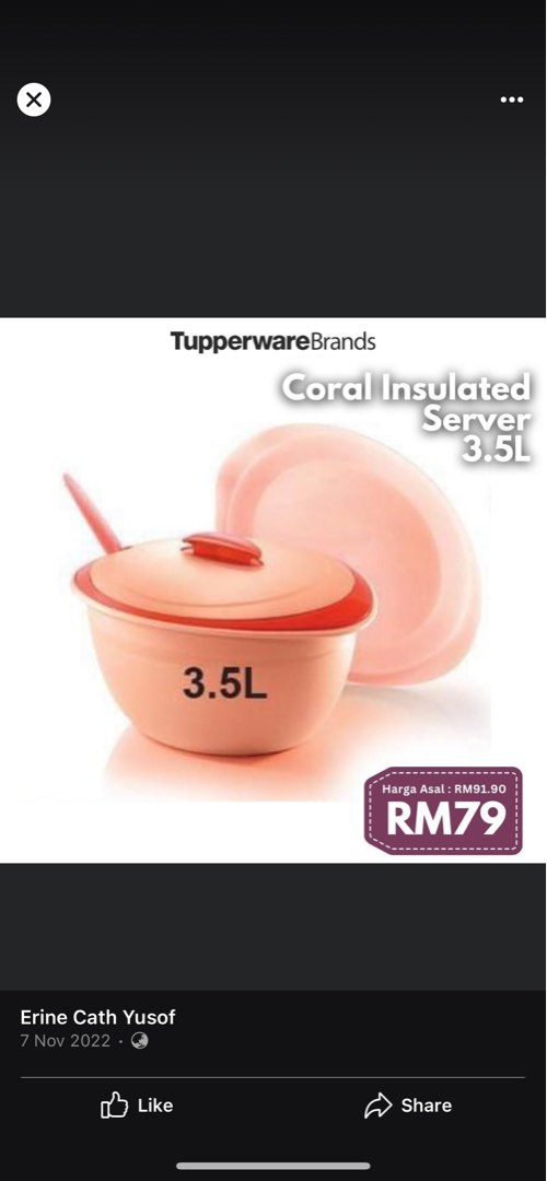 Ready Stock!! Tupperware Insulated Server Coral