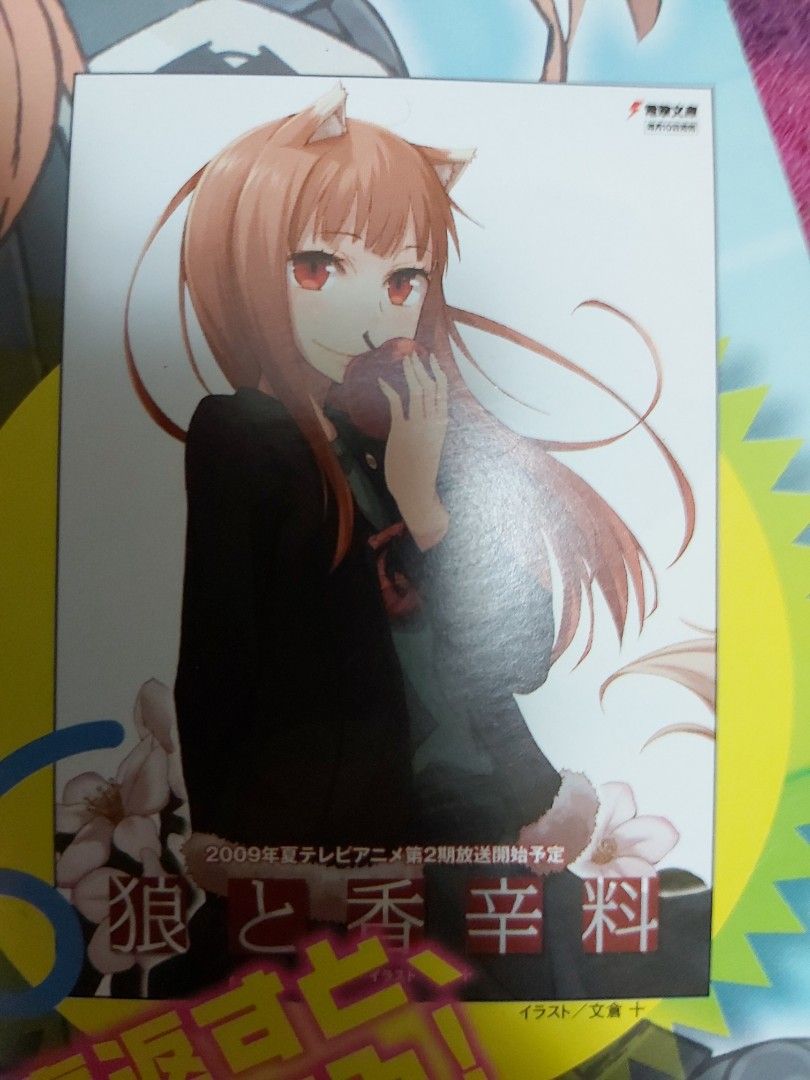 電擊海報雜誌Dengeki Poster Magazine 2009 Spring 狼與香辛料魔術禁書