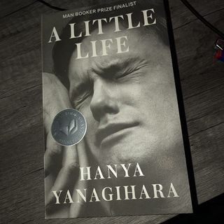 A little life book