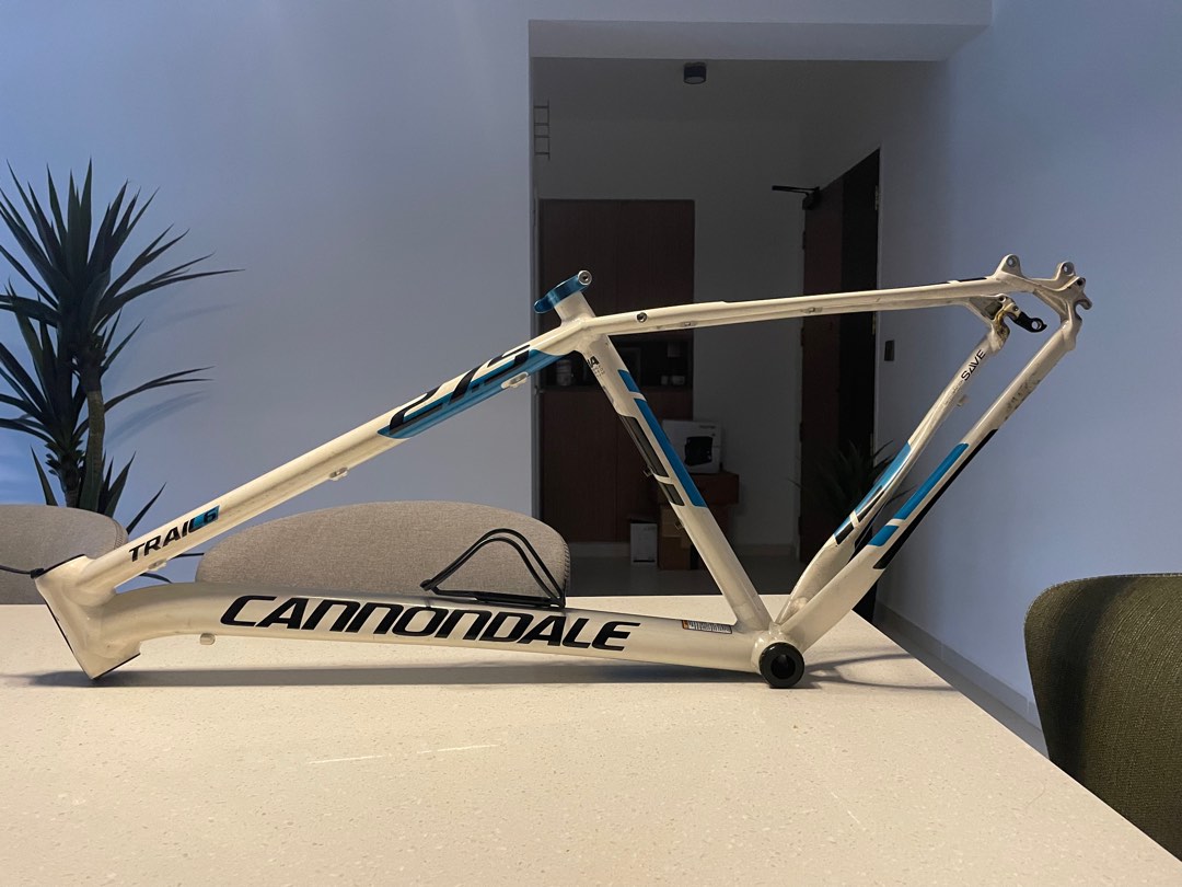 Cannondale frame only on sale