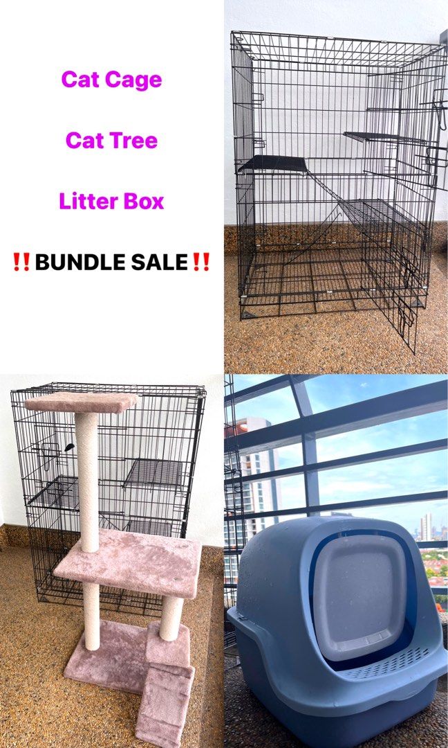 Cat stands for sale sales