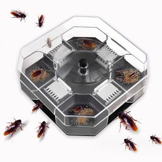 Cockroach Trap Box  (H0644)