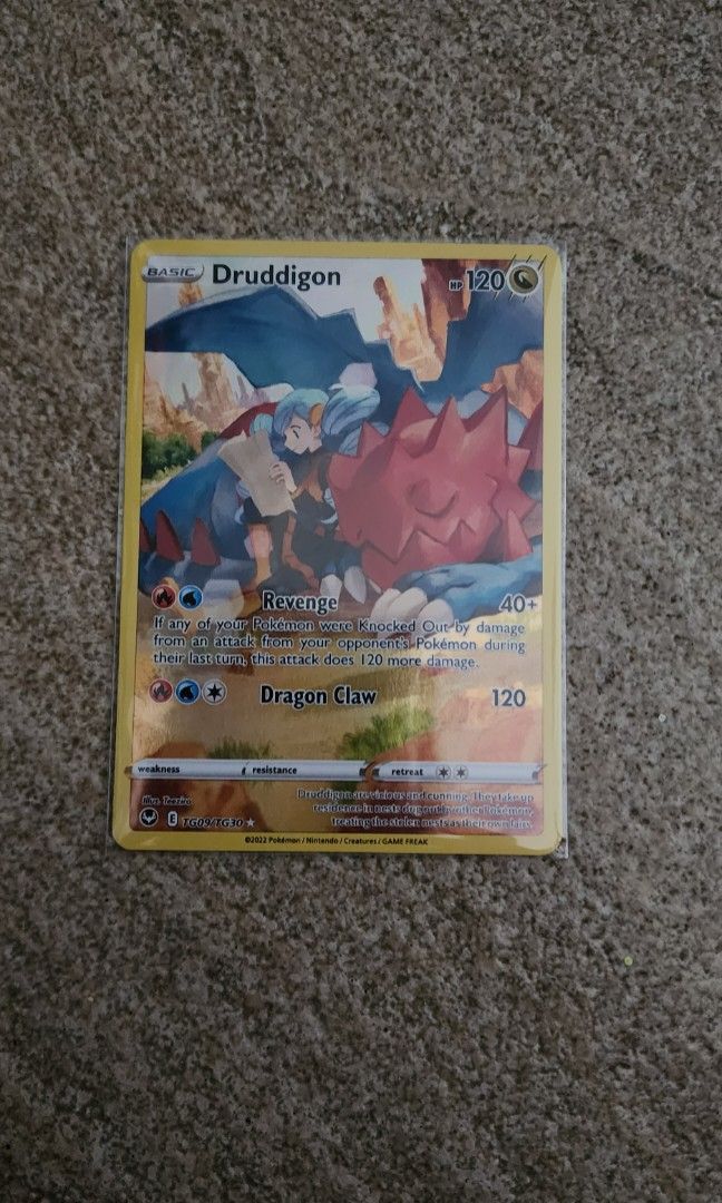 Druddigon, Hobbies & Toys, Toys & Games on Carousell