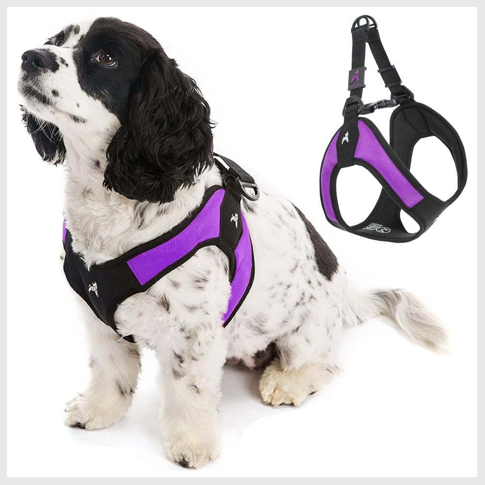 Gooby simple step sale in dog harness