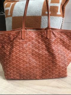 Goyard Saint Louis PM in Orange