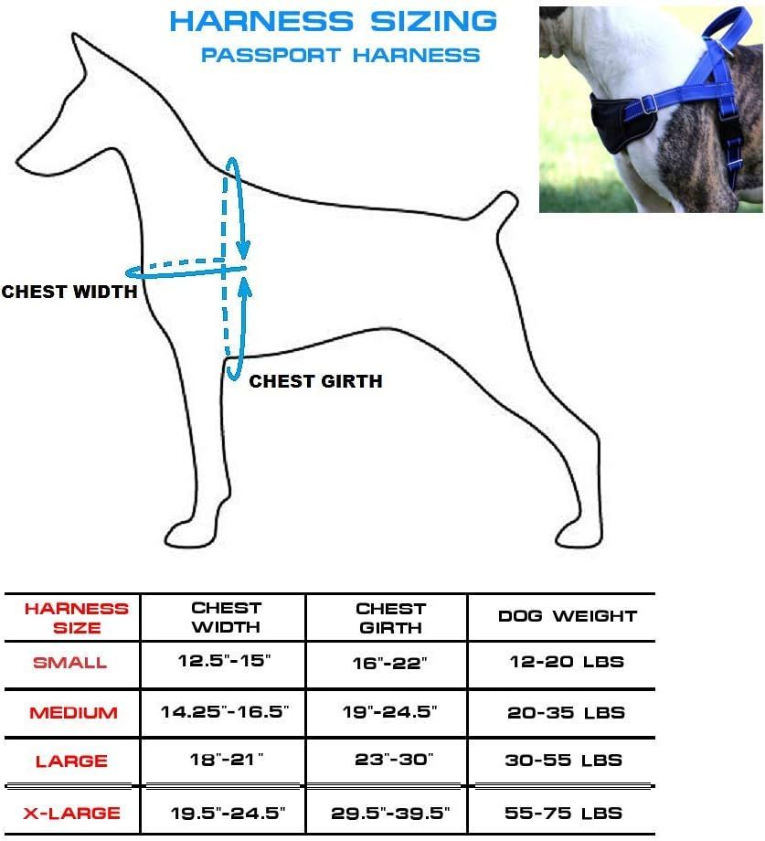 Max and neo on sale harness