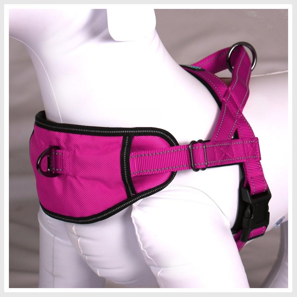 Max and deals neo harness