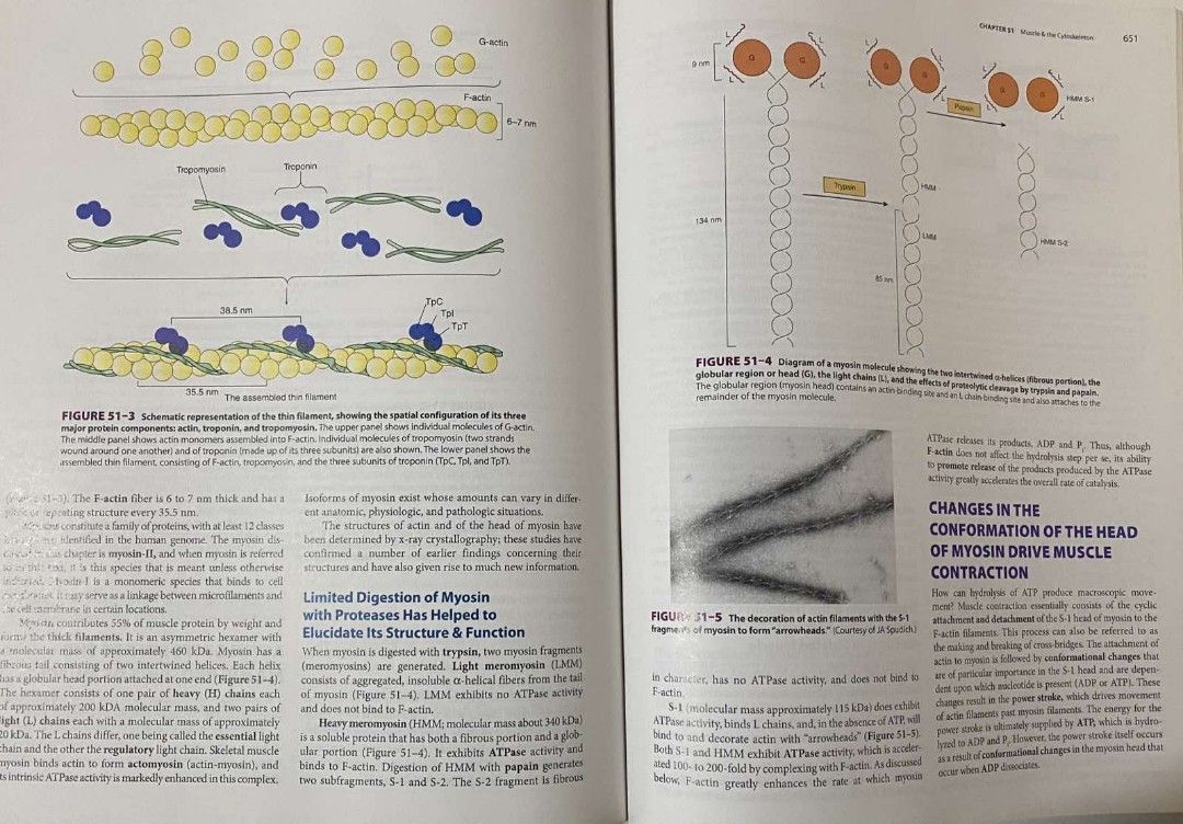 MD Biochemistry book (Category: Textbooks) located in Manila. Submitted by jana0011 (Listing ID 1249841814, Image 2). Description: need to shift into a new place.so selling everything.