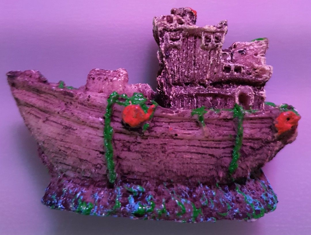 Opae Ula Home setup, Pet Supplies, Homes & Other Pet Accessories on