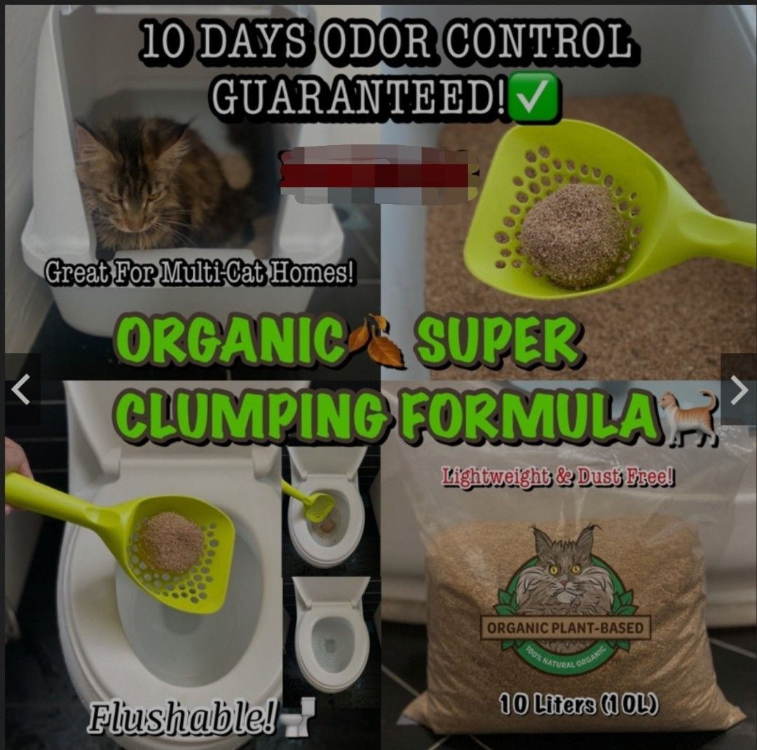 Coconut 2024 cat litter