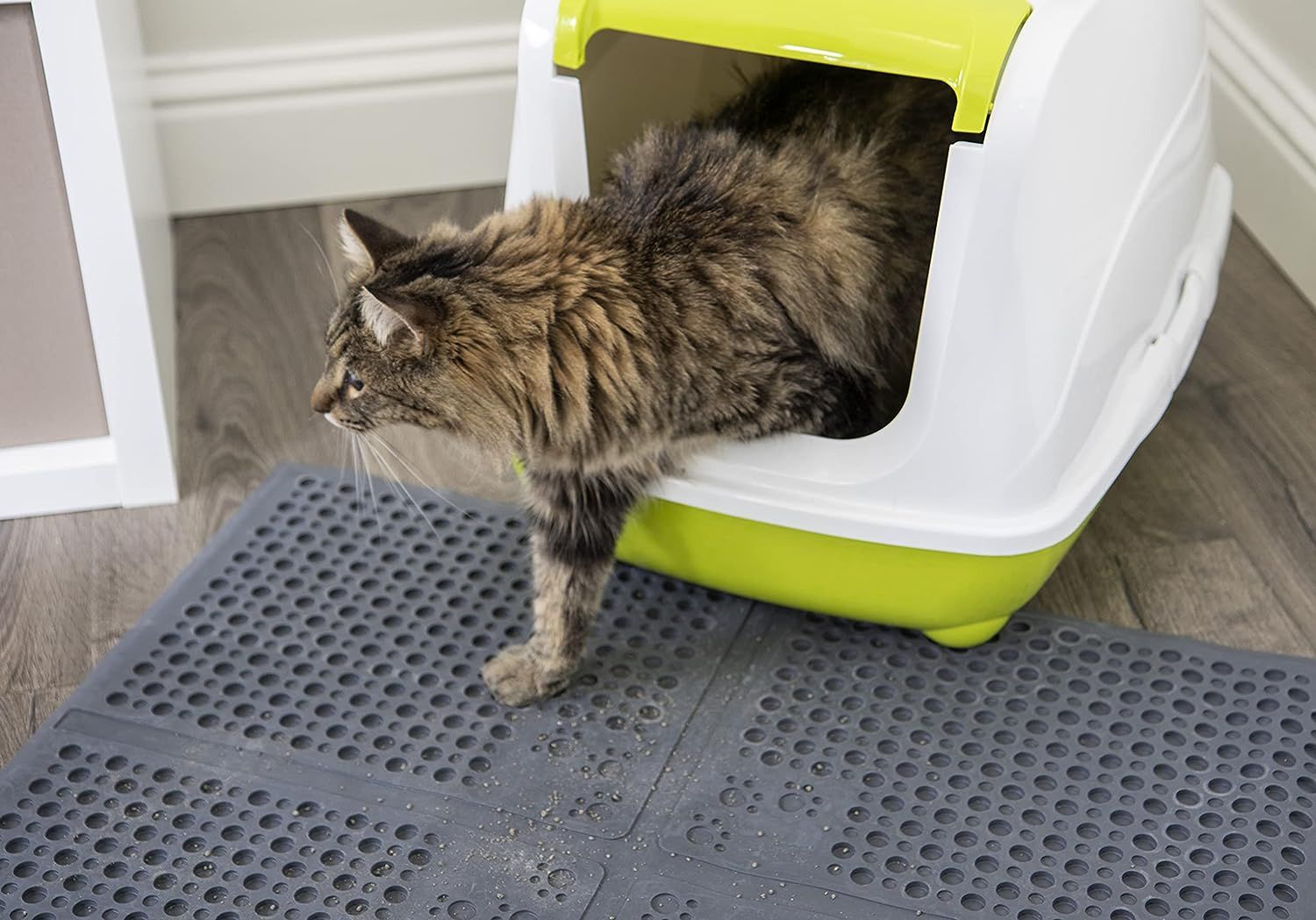 Cat peeing on outlet litter mat