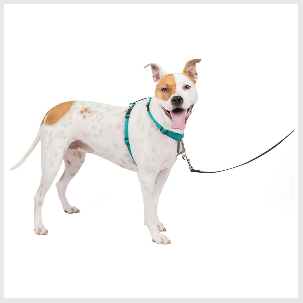 Dog harness with cheap front d ring
