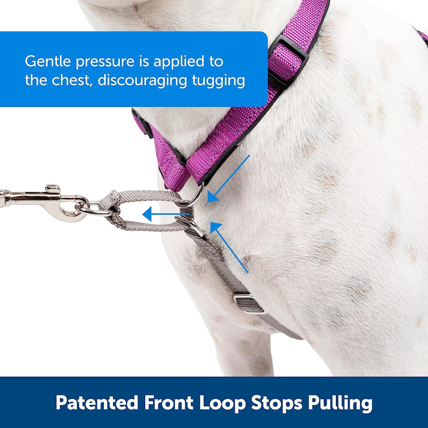 Harness with front d ring dog clearance
