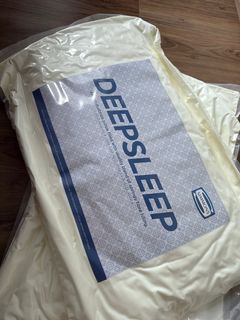 Brand New Pillow Simmons (2 for $ 60)