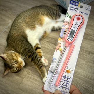 （分類：）位於 。 由 soundready 提交（商品編號 1249852347，圖片 1）。簡介： 。