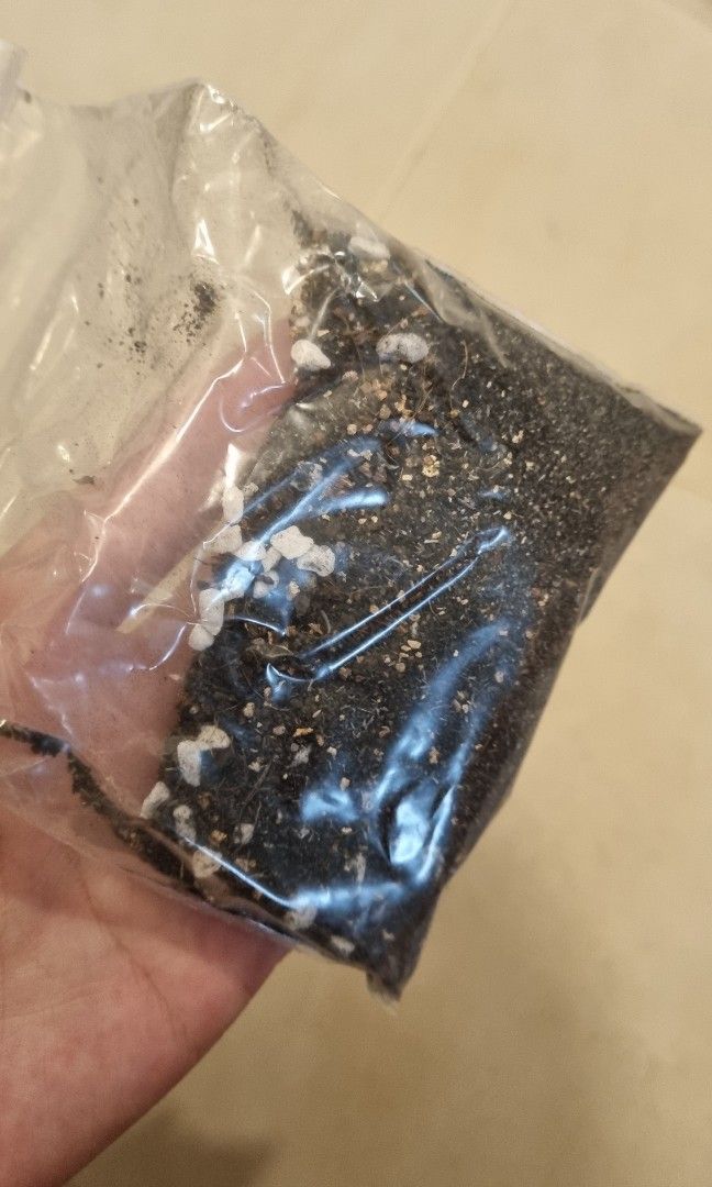 Terrarium Filling Fake Soil, Stones, Pebbles, Hobbies & Toys