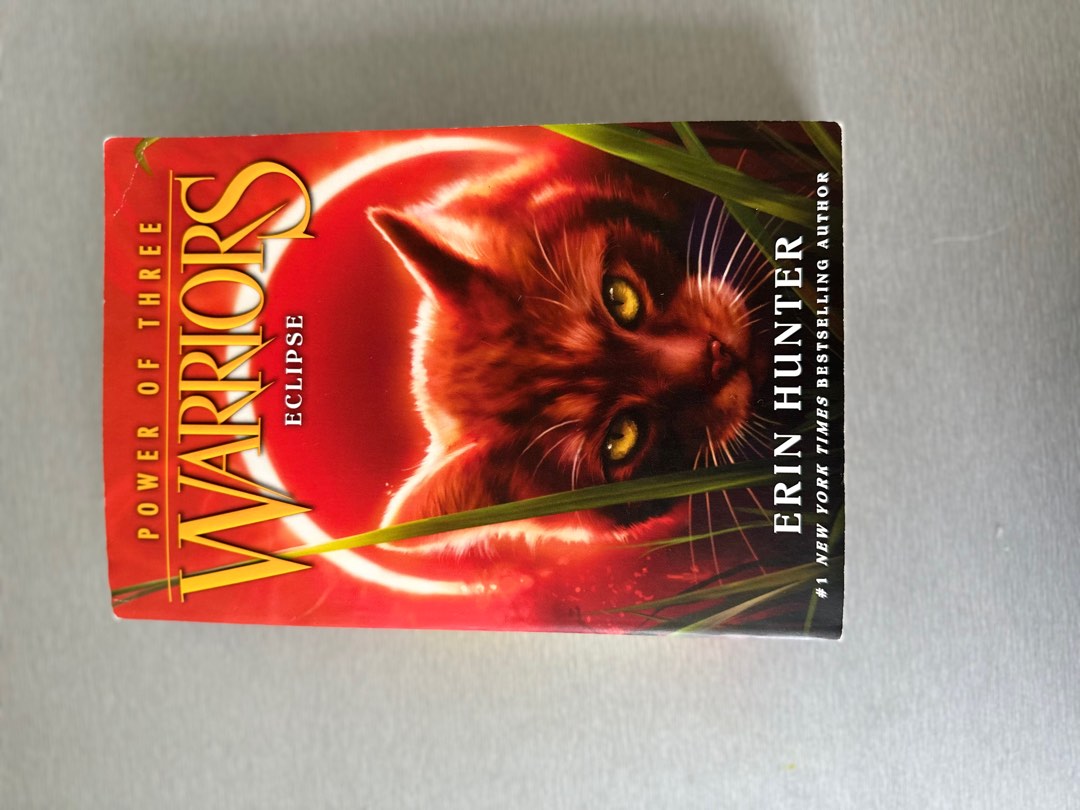 Warrior Cats The Power Of Three #4, Hobbies  Toys, Books  Magazines,  Children's Books on Carousell