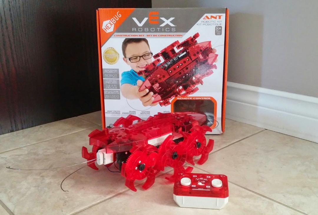 Vex robotics ant online