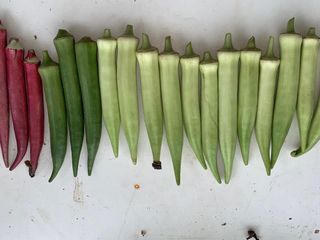 （分類：）位於 。 由 abbalifefarm 提交（商品編號 1246693736，圖片 1）。簡介： 。