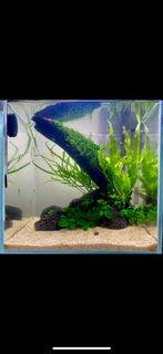 (Category: ) located in . Submitted by areyet (Listing ID 1246580408, Image 1). Description: .