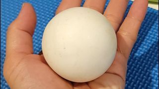 Arahant Relic Stone Egg 5.8cm-6cm/ Invited by LP Yai SomPorn/阿拉汉佛母金刚舍利/白龙宫沥莱石蛋/摩斯硬度8~8.5