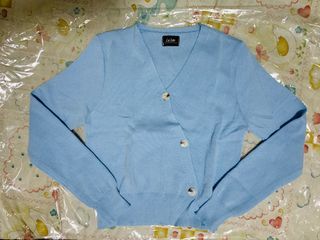 Blue Cardigan