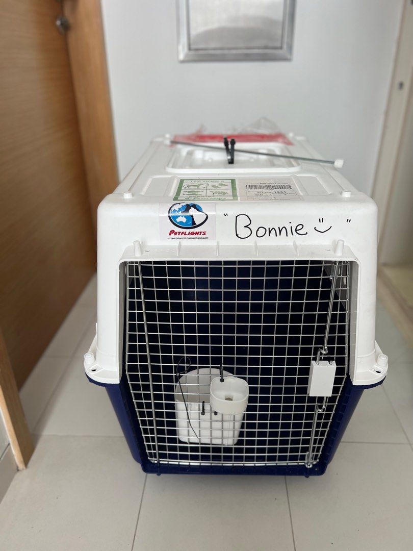Dog crate Airline approved, Pet Supplies, Homes & Other Pet Accessories