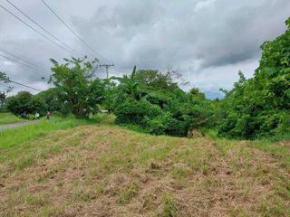 FOR SALE: 2 adjacent luxury eco farm lots at Plantation Hills at Tagaytay Highlands