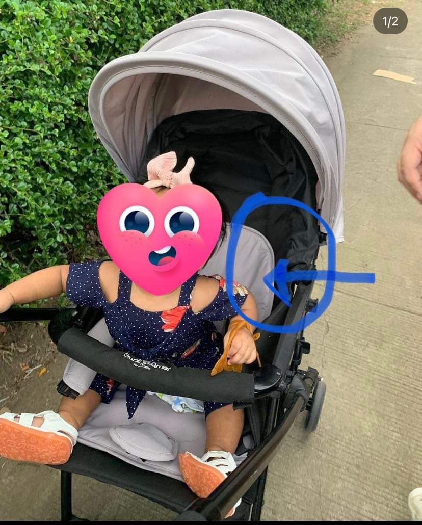 Giant Carrier Baby Stroller, Babies & Kids, Going Out, Strollers on