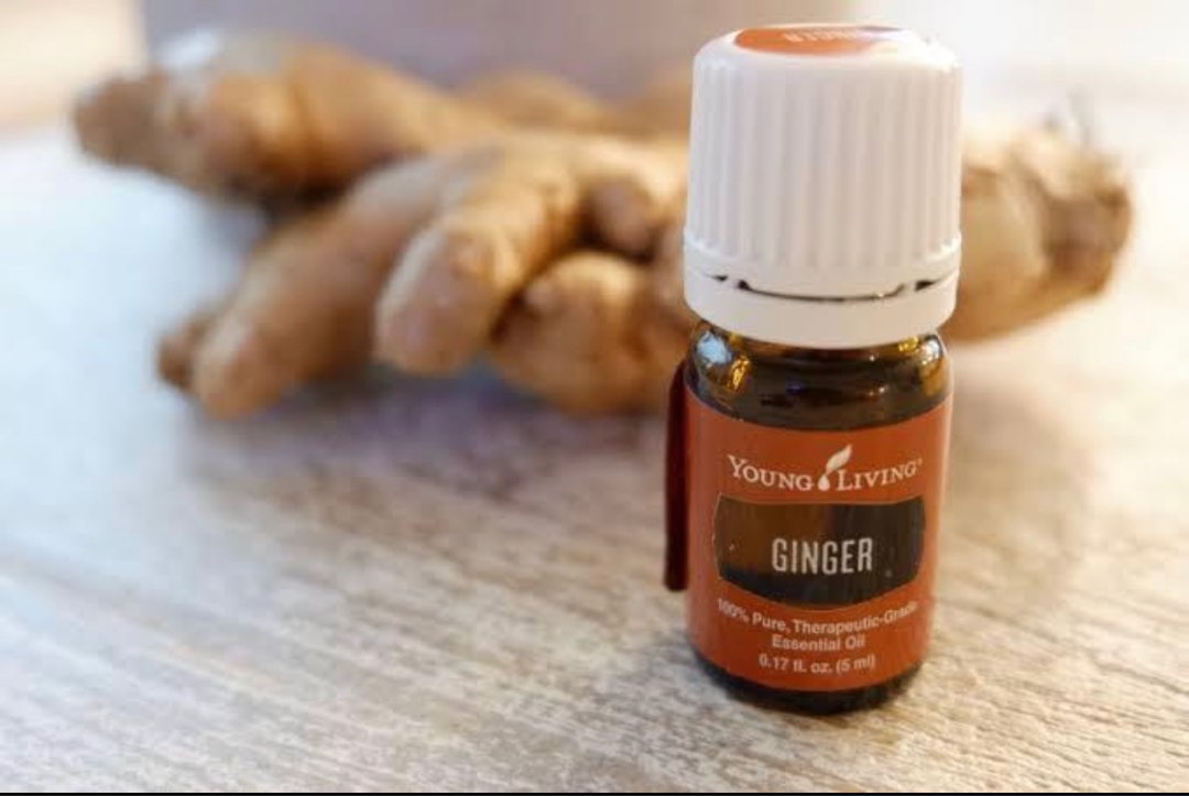 Ginger, Young Living Essential Oil, 5ml, Beauty & Personal Care, Bath
