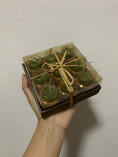 Mini Cactus succulants candles